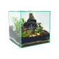 Preview: PLANTCUBE - Vivarium 30x30x30 Biochorion Bundle